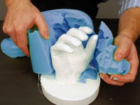 /album/fotogaleria-sp-icon-alginate-fast-a-slow/spi-algi-slow2-jpg/